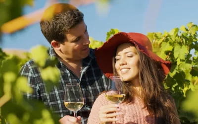 Family-Friendly Wine Tours in Yarra Valley: Are They Possible?